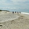 Tour 12: Darß - 1
